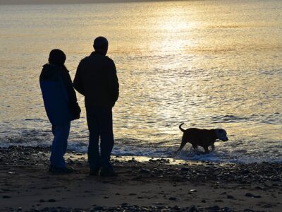 Dogs on beaches in Blackpool
