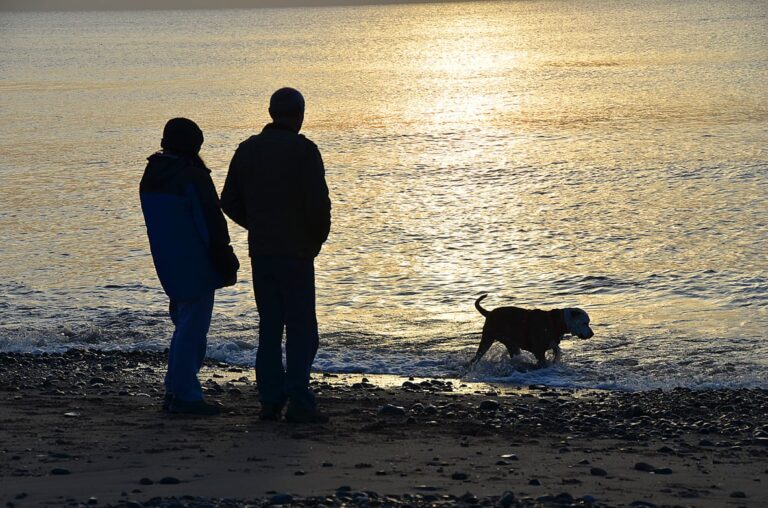 Dogs on beaches in Blackpool