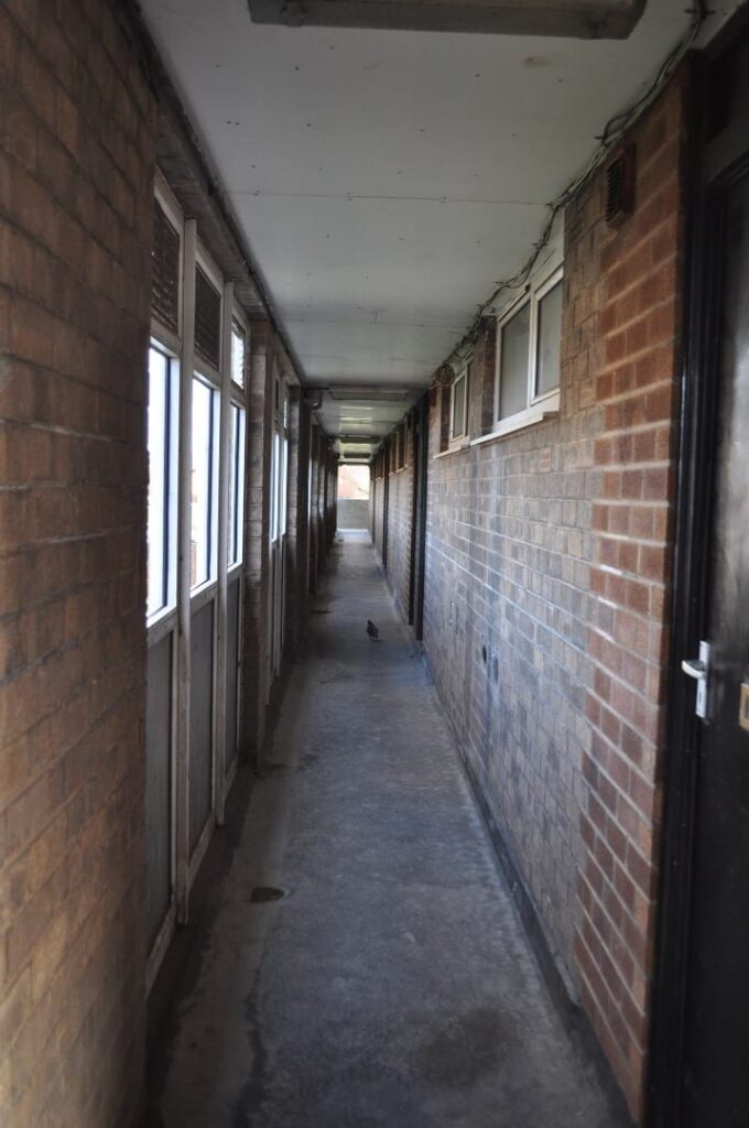 Lonely pigeon patrols the corridors. Photo: Juliette Gregson