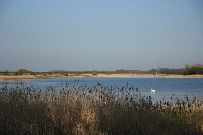 Marton Mere Nature Reserve