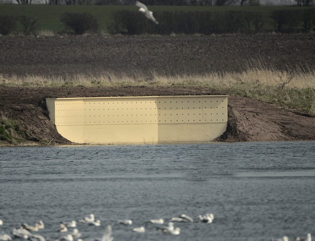 Sand martin nesting bank at Marton Mere Nature Reserve