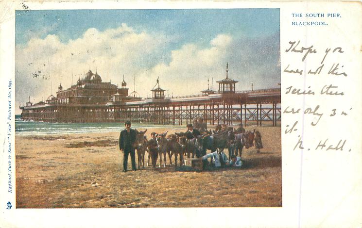 Donkeys next to what we call Blackpool South Pier, then known as Victoria Pier