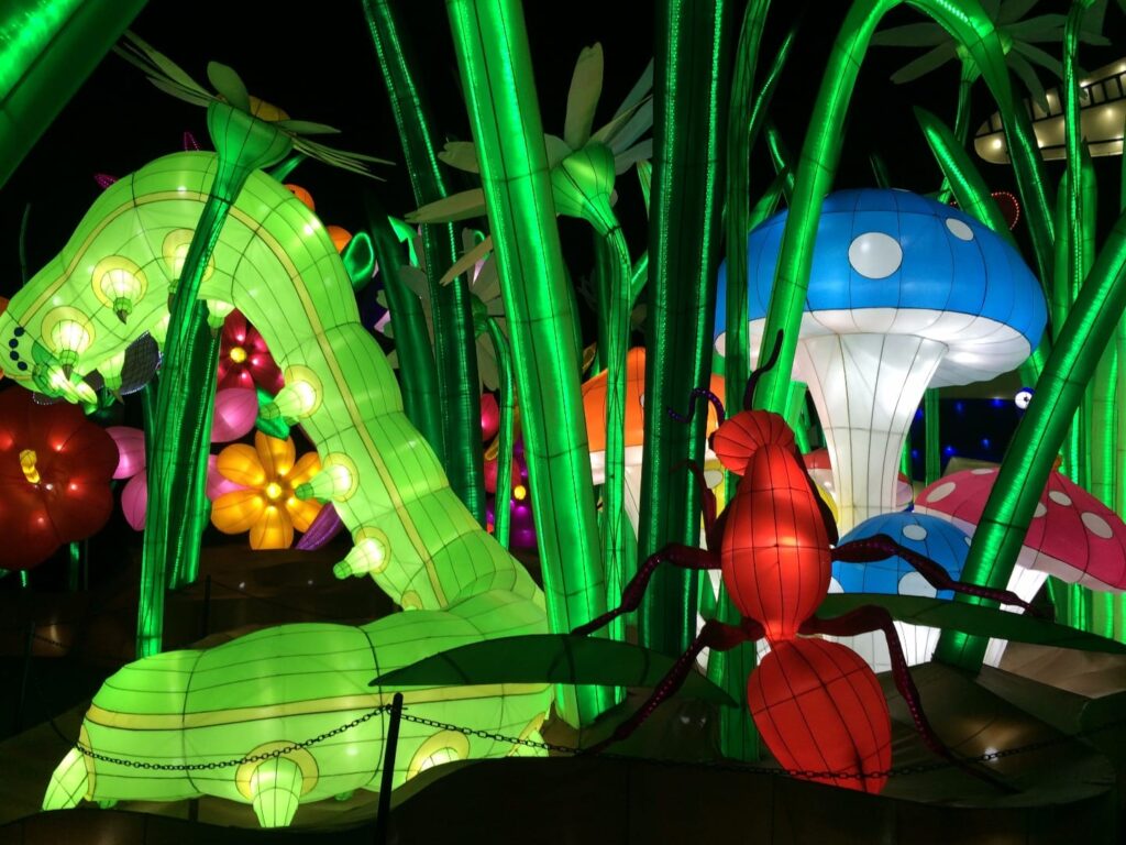 Caterpillars and toadstools at Illuminasia Blackpool