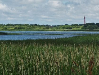 Marton Mere Nature Reserve