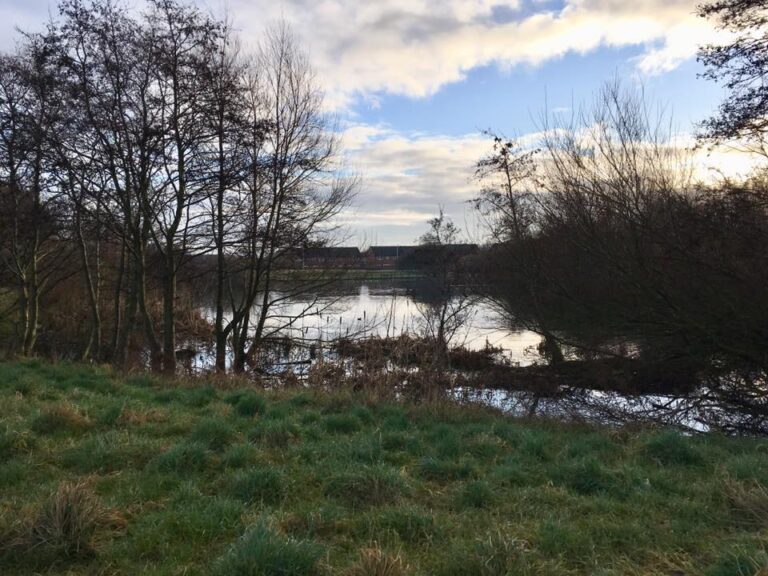 One of the lakes at North Blackpool Pond Trail