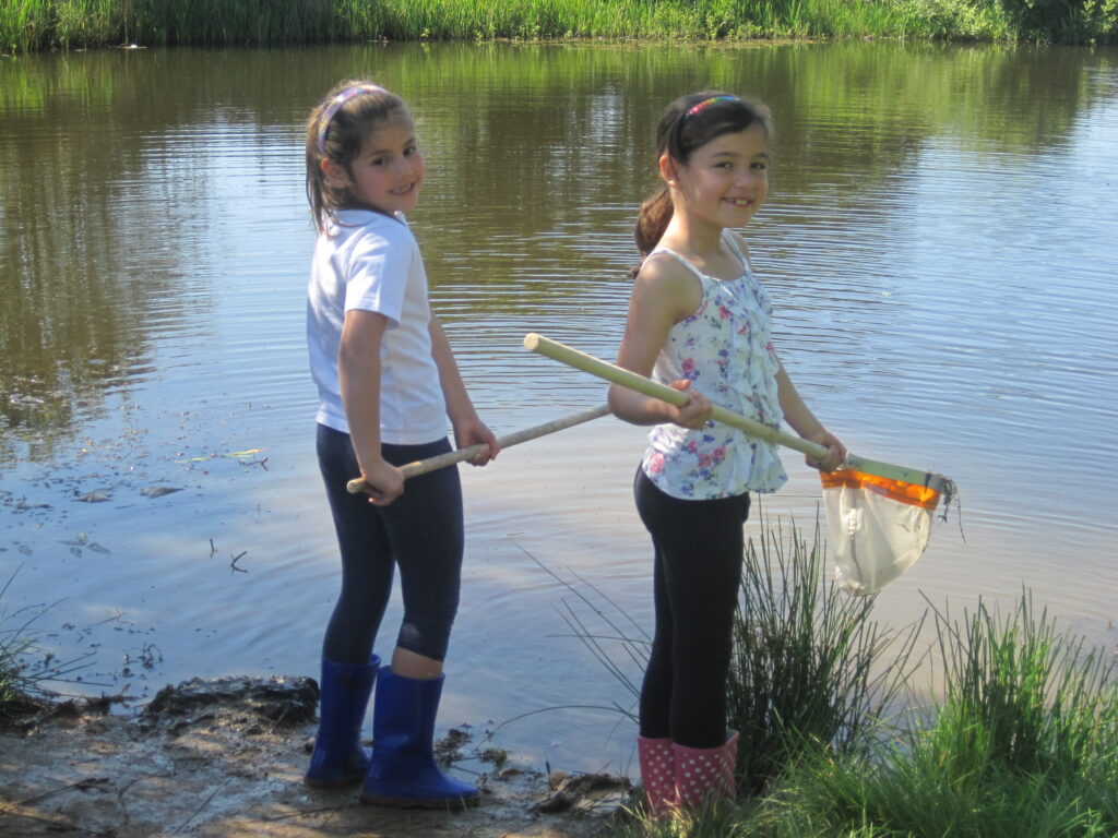 Children pond-dipping at North Blackpool Pond Trail