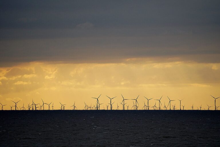 Views across the sea of the wind farms