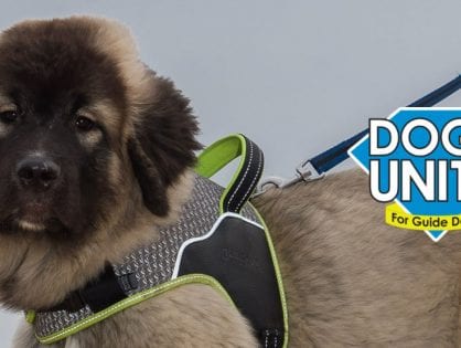Dogs Unite Sponsored Dog Walk