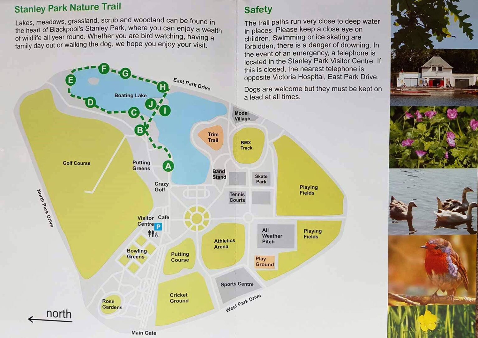 Stanley Park Best in UK Blackpool's favourite green space • Live