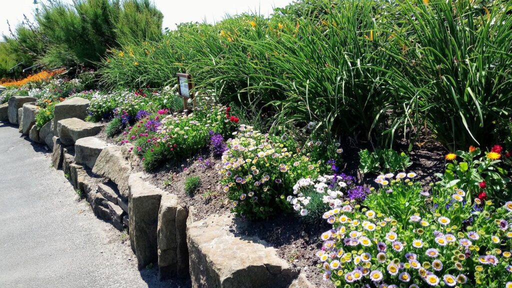 Flower beds in Jubilee Gardens Blackpool, planted by the Friends in 2019