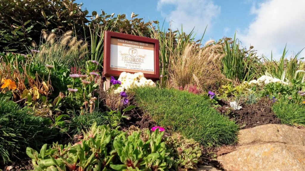 Flower beds in Jubilee Gardens Blackpool, planted by the Friends in 2019