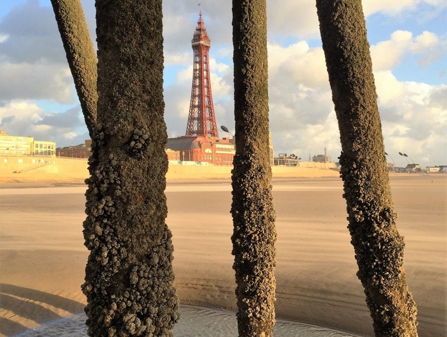 Blackpool Tower through the Pier, by Cameron McDade