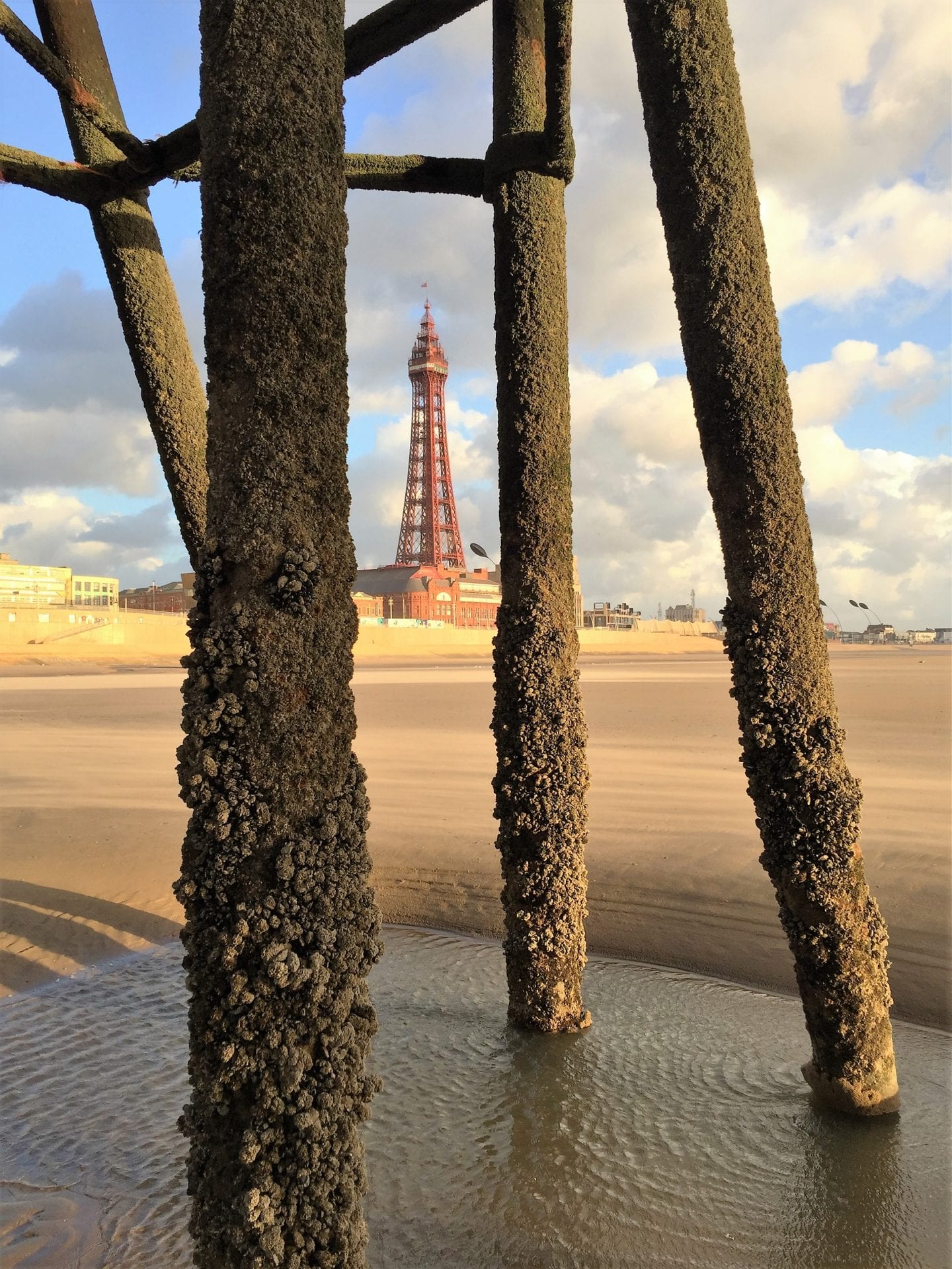 Blackpool Tower through the Pier, by Cameron McDade