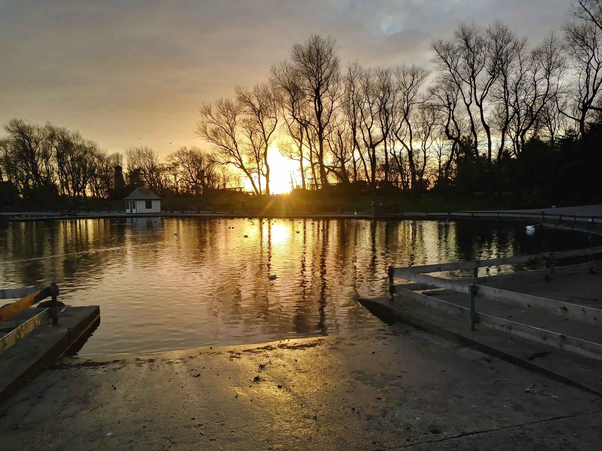 Sunset over Stanley Park by Joanne Fletcher