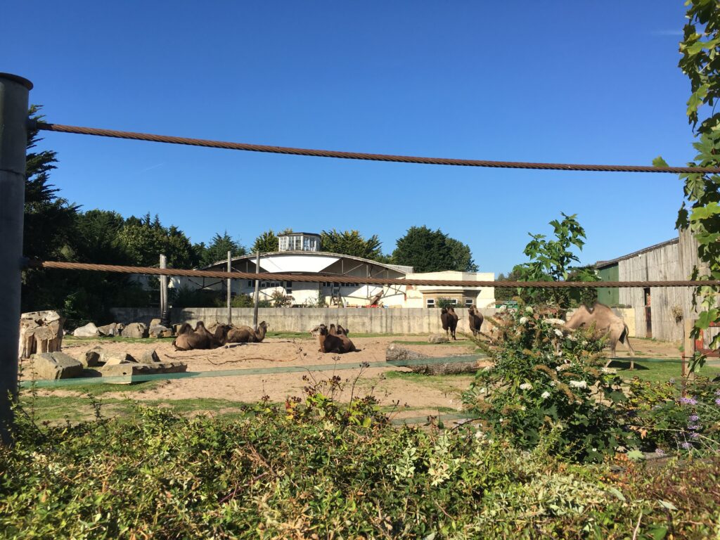 One of the old airport buildings at Blackpool Zoo