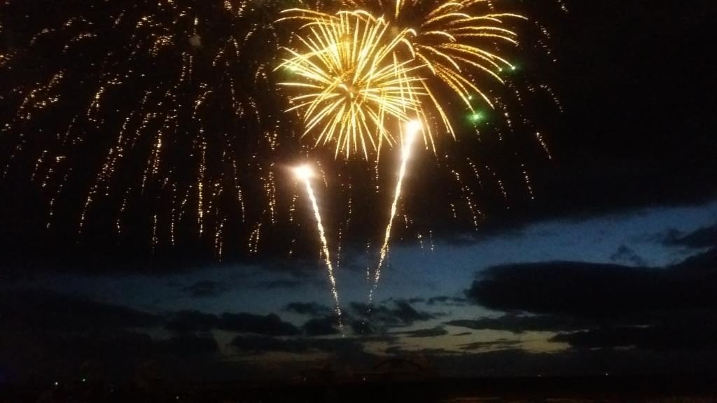 Display caught during 2019 week 1 by Julie Clerkin