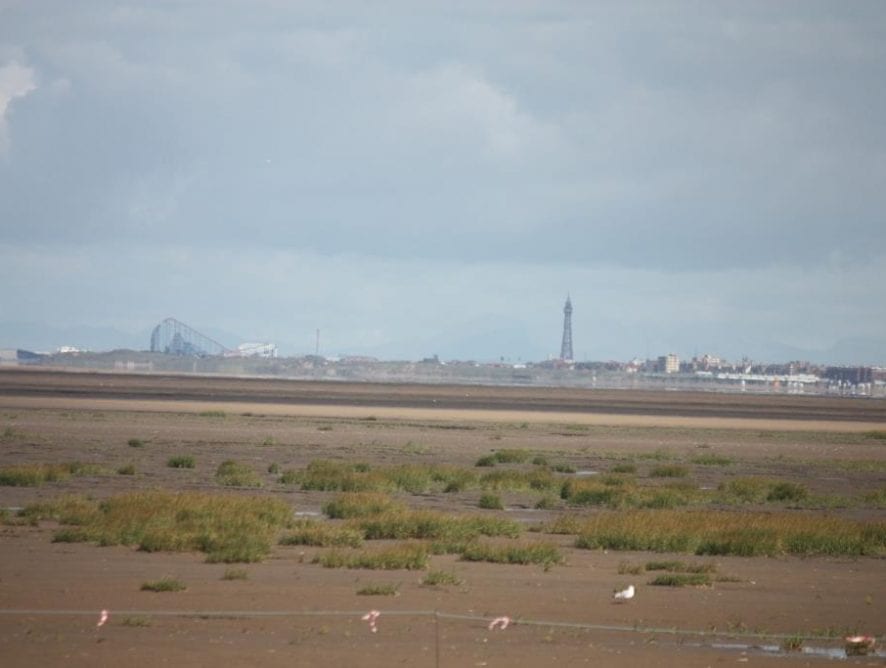 View of Blackpool from Southport by Andrea Jones