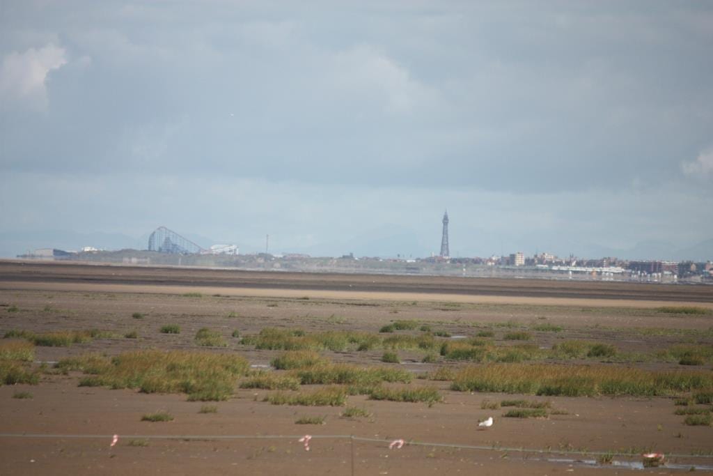 View of Blackpool from Southport by Andrea Jones