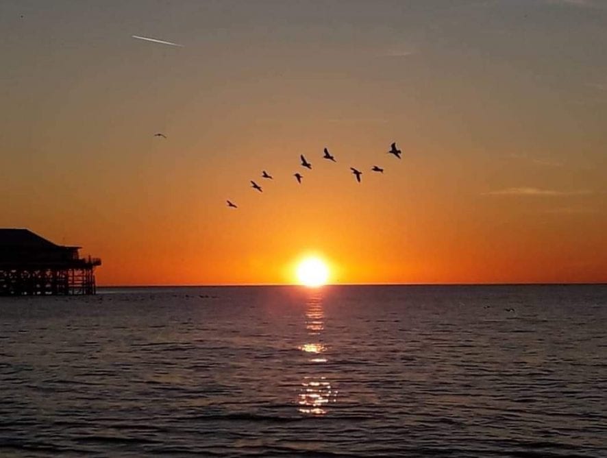 Sunset by Nicole Morgan