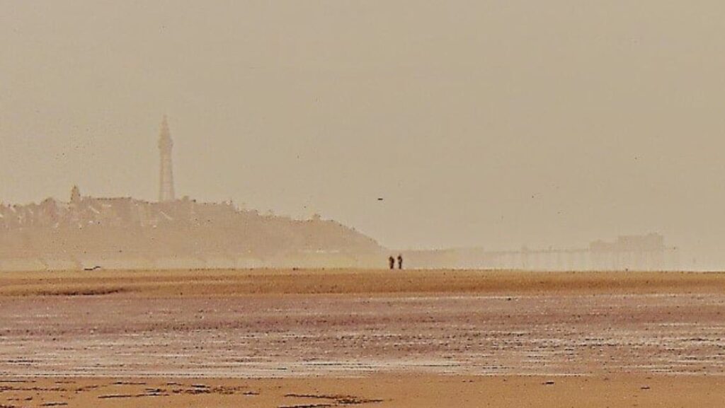 Beach | Pier | Tower by Sheena Ann Brown