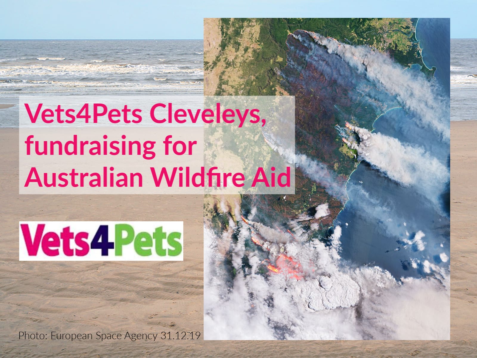 vets4pets price list