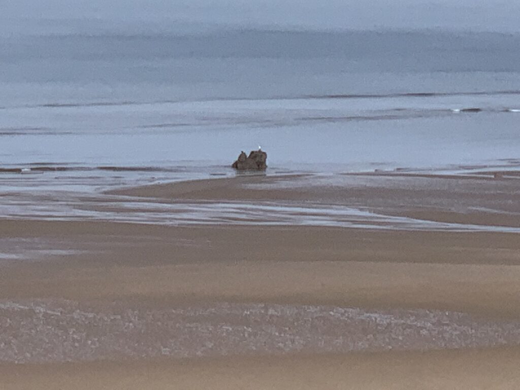 Carlin rock, offshore at Bispham