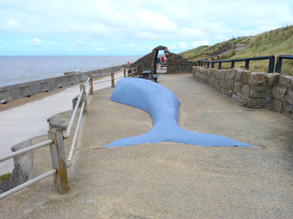 The whale, one of the installations opposite the Norbreck. Photo: John Gilder
