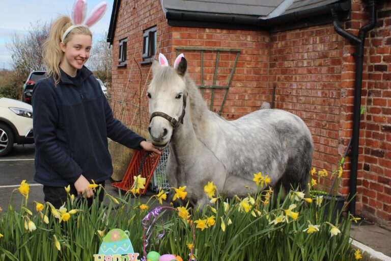 Penny Farm Rescue & Rehoming Centre