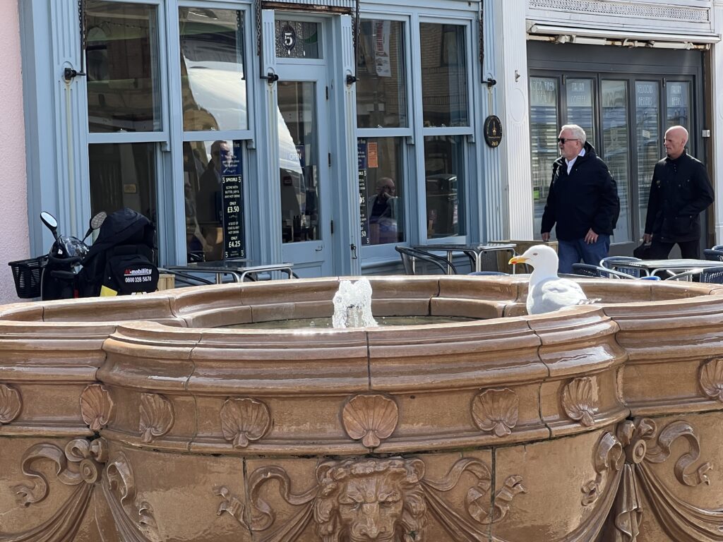 Fountain from Flagstaff Gardens, now in Cedar Square