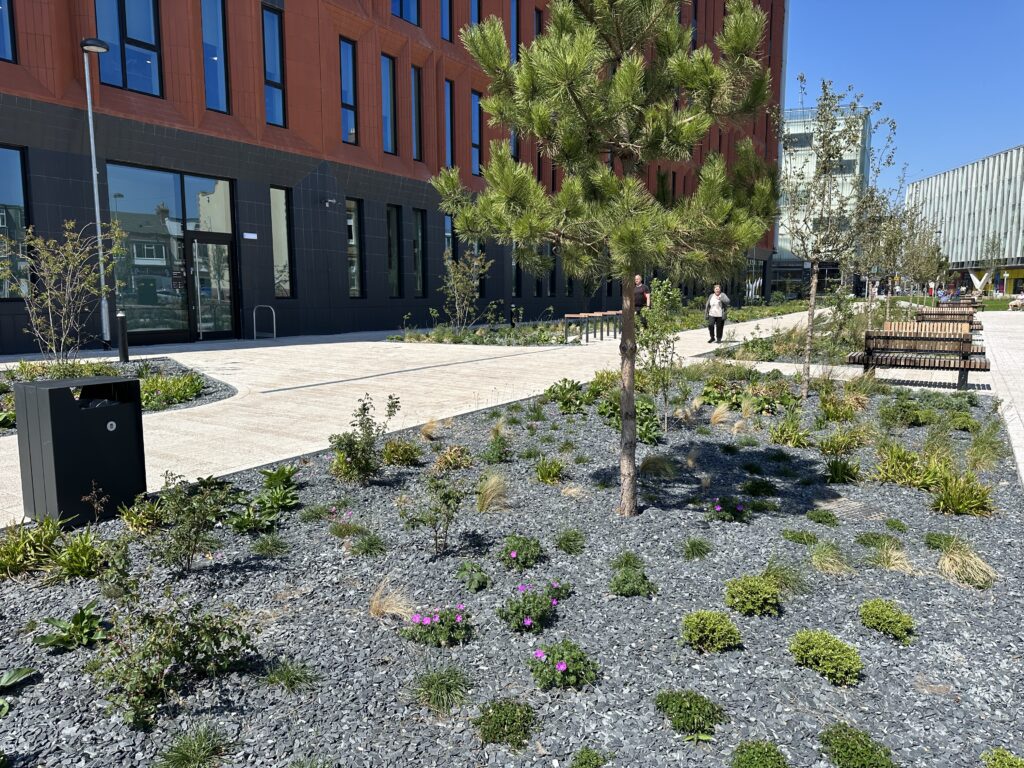 New landscaping