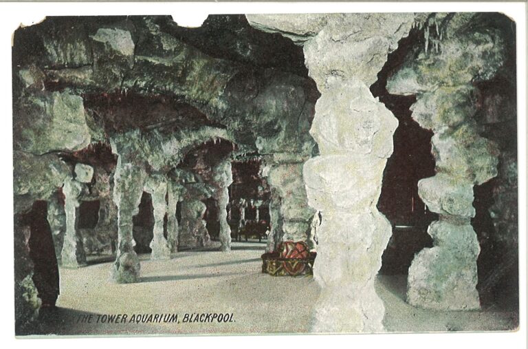 Old postcard of the inside of the Tower Aquarium in the early 1900s