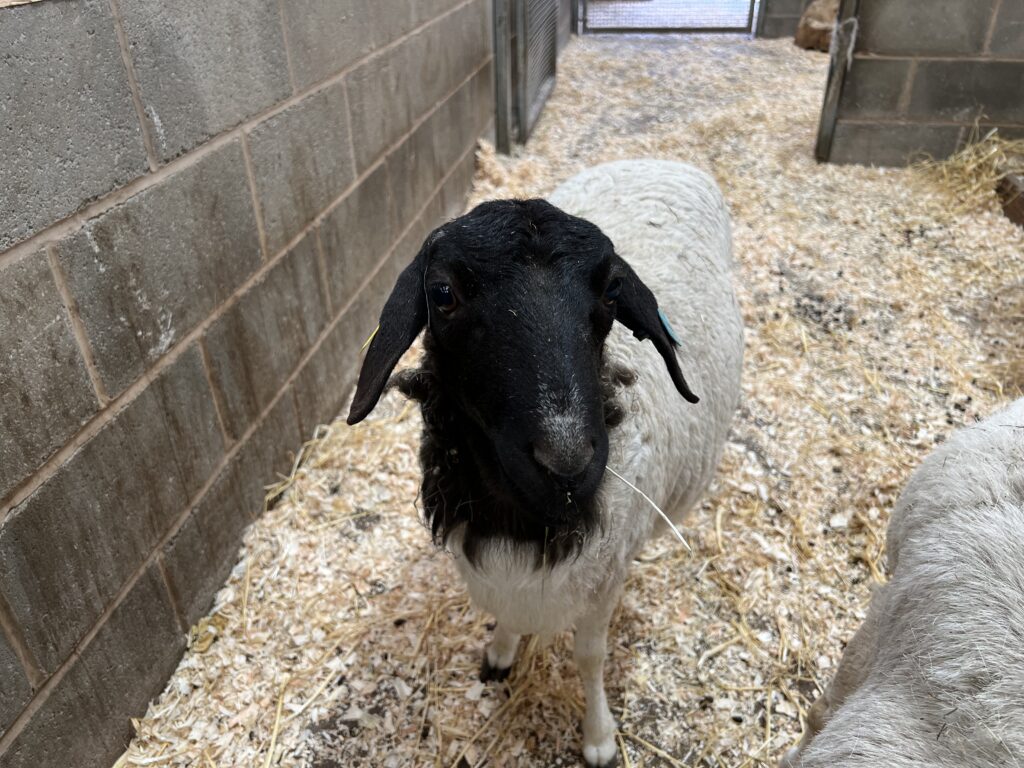 Are you looking at me?