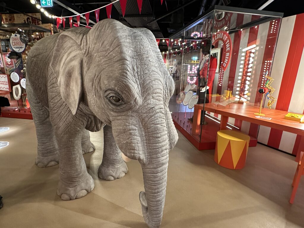 Bella the elephant in the circus section