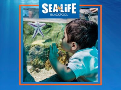 Looking for something to do? BOOK ONLINE - SEA LIFE Blackpool is Open Today! Please note you MUST book online before arrival.